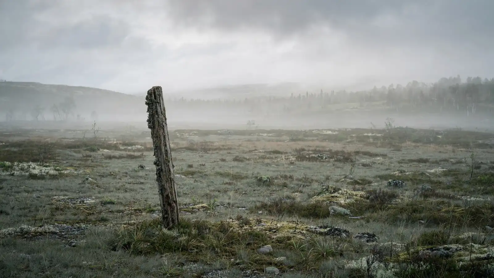 En gammel grensestolpe i et nordisk landskap